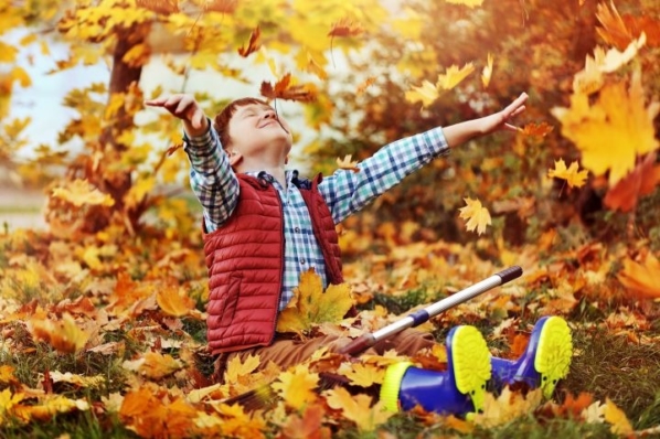 Herbstlaub sinnvoll nutzen: 3 Tipps und Tricks