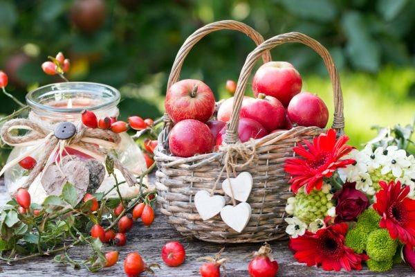 Man sieht eine Herbstdekoration mit Äpfel im Weidenkorb,Herbstblumen und Hagebutten als Kartenmotiv